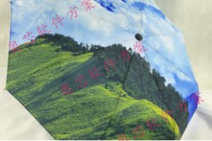 共享雨伞项目怎么盈利(共享雨伞如何盈利)